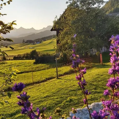 بيت للعطل Schweizer Hof تامسويغ