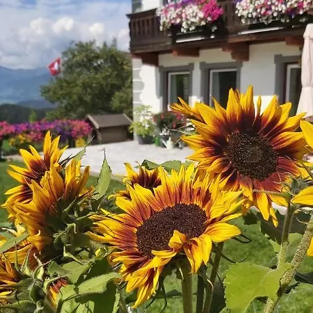 Schweizer Hof بيت للعطل