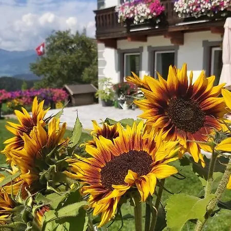 Schweizer Hof 펜션
