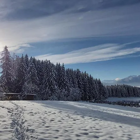 بيت للعطل Schweizer Hof تامسويغ