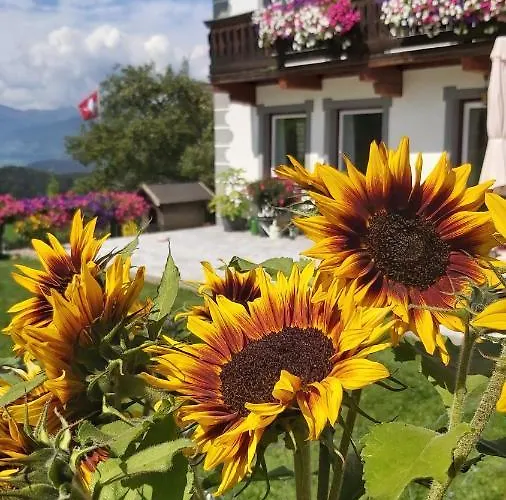 Schweizer Hof Semesterbostad